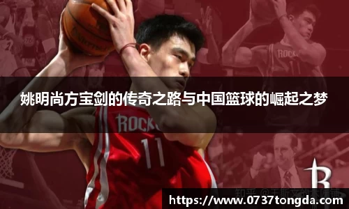 zoty中欧