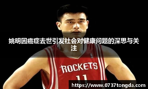 zoty中欧